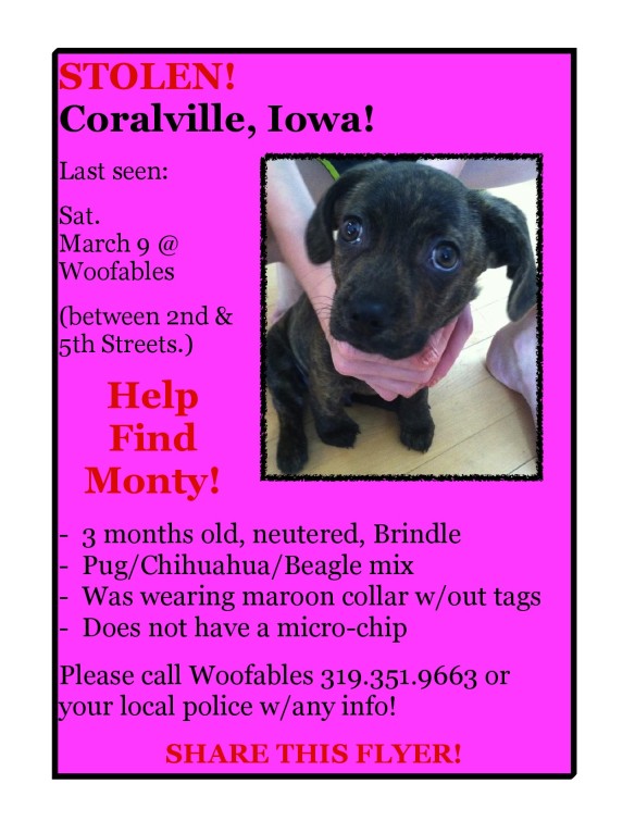 Monty stolen from dog bakery in Coralville Iowa